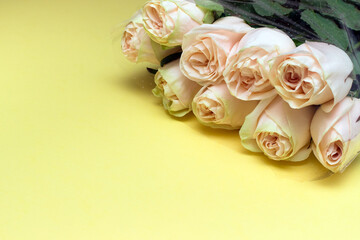 Tender bouquet of pink roses on light yellow background with copy space.