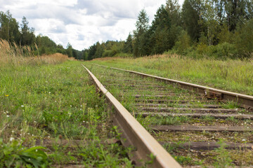 Old vintage railroad with wooden sleepers overgrown with grass.