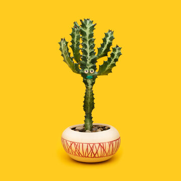 Cactus with a face