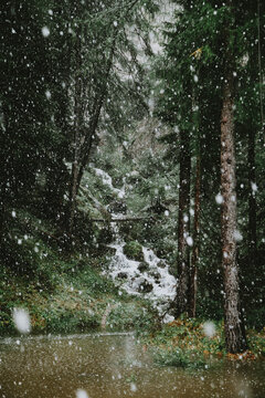 Winter landscape in snow forest