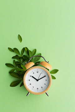 Alarm clock with leaves
