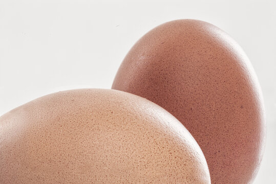 Eggs Closeup