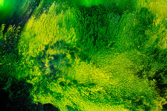 Abstract green cells liquid color background