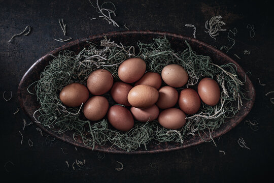 Eggs in Dry Grass