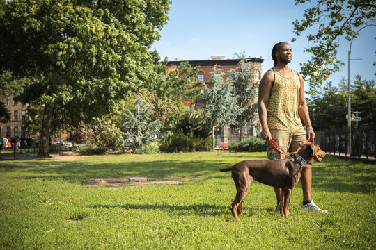 Casual Young Black Man Walking His Dog in BedStuy Park in Brooklyn New York