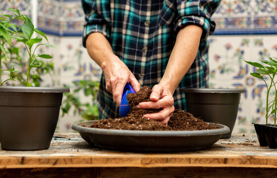 compost