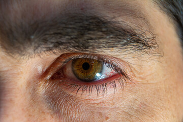 retrato de primer plano de una mirada 