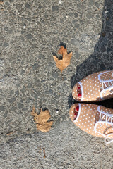 Unrecognizable person in colorful quirky shoes and fallen autumn leaves. Top view.