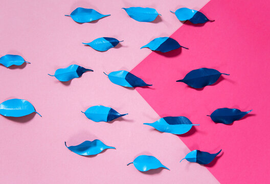 Geometric colour and leaf