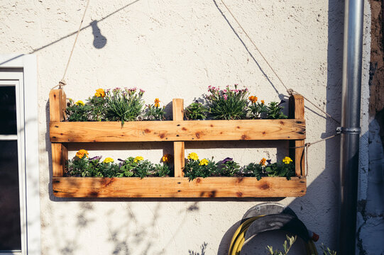 Flowers planted in a recycled patett
