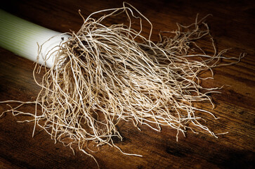 Organic leek root with ground crumbs on antique wood.