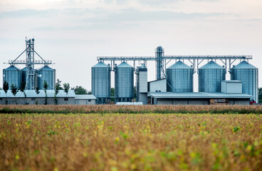 Fototapeta na wymiar Silos for storing grain harvest. Concept of agriculture and industry