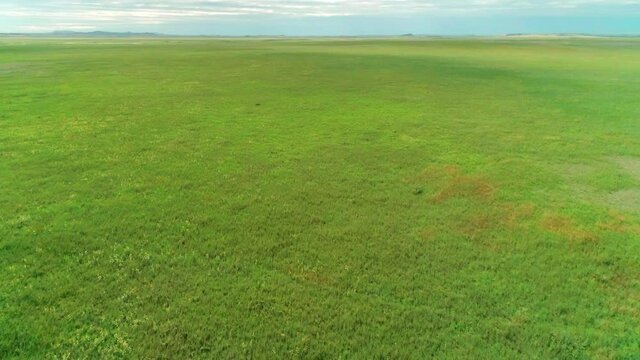 Aerial view of grassland