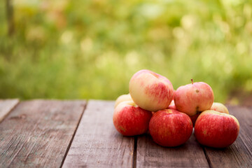 Red apples lie on a wooden board with dry spikes. Green blurred background