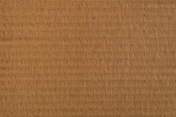 Brown cardboard texture, empty space