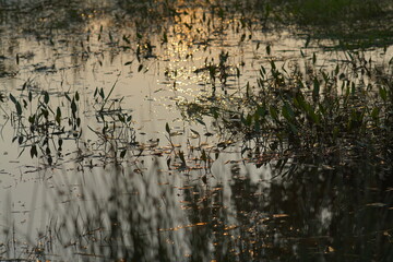 Wasser Fläche zur Abendzeit und bei Sonnenuntergang
