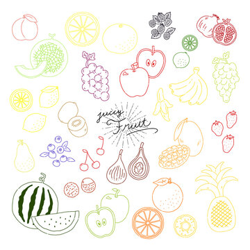 いろんなフルーツの線画手描きイラストアイコン fruit line illustration vector icon