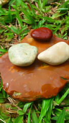 stones and green leaf