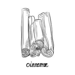 Cinnamon stick vector illustration isolated on white background. Hand drawn sketch. Seasonal food illustration spice and flavor. Cooking, healthy aromatherapy ingredient etc.