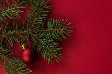 Composition with Christmas toys and fir tree on color background