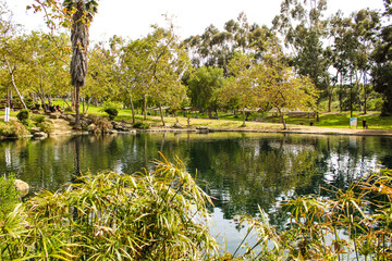 gorgeous shot of the lake and the lush green trees at Kenneth Hahn Park in Los Angeles California