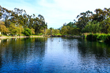 gorgeous shot of the lake and the lush green trees at Kenneth Hahn Park in Los Angeles California