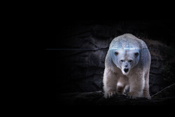 Eisberg innerhalb der Silhouette eines Eisbären