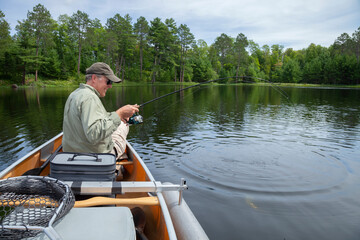 Smiling middle aged fisherman reels in a walleye on a lake in northern Minnesota