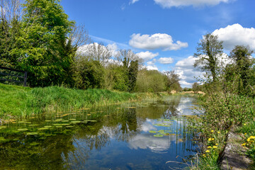 Fototapeta na wymiar Beautiful Summers Day at Irish Canal