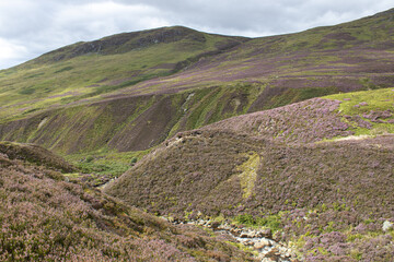 Stream and river through the mountains