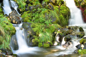 Fototapeta na wymiar Double waterfall in an Alaska forest