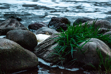 Fototapeta premium stones in the water