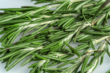 Fototapeta premium Branches of fresh green rosemary, isolated on white background.