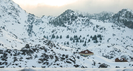 snow covered mountains