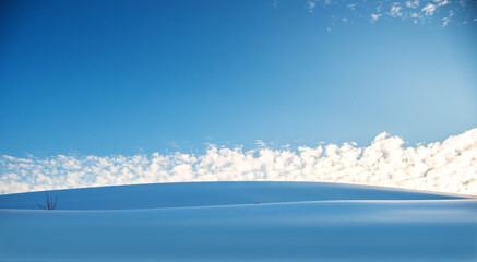 winter landscape with snow