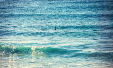 surfer on the beach