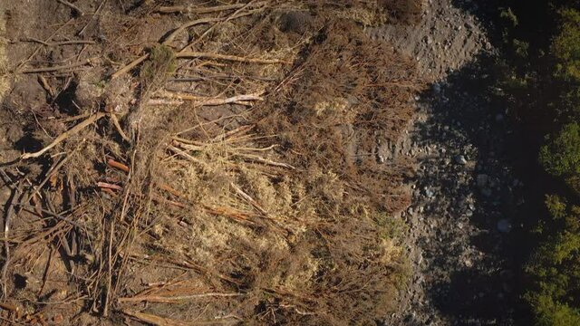 Aerial deforestation of Osorno Volcano area and Llanquihue Lake - Puerto Varas, Chile, South America.