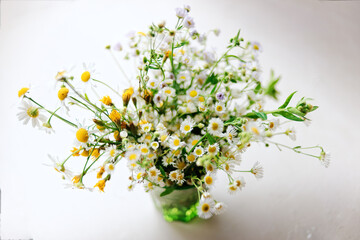 Still life with wild flowers and herbs bouquet in a glass jar