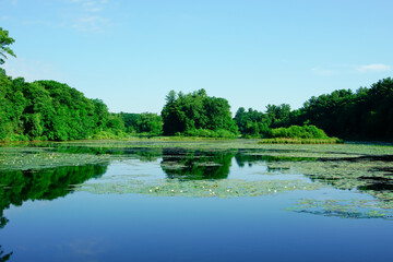 Beautiful houghton pond Holliston Massachusetts USA