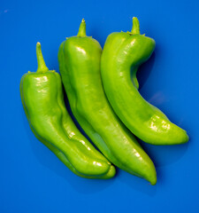 Three Italian Long Sweet Peppers on a blue background