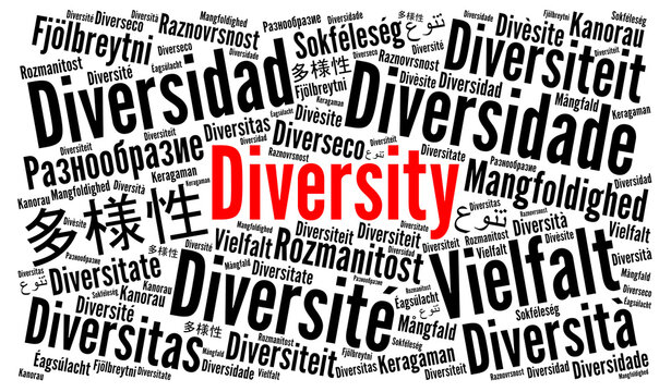 
Diversity in different languages word cloud 