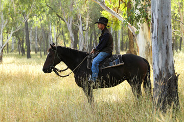 A cowboy on horse waiting under a gumtree.