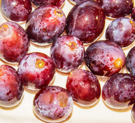 Delicious purple grapes freshly picked and ready to be eaten in cakes, smoothies and other desserts.
