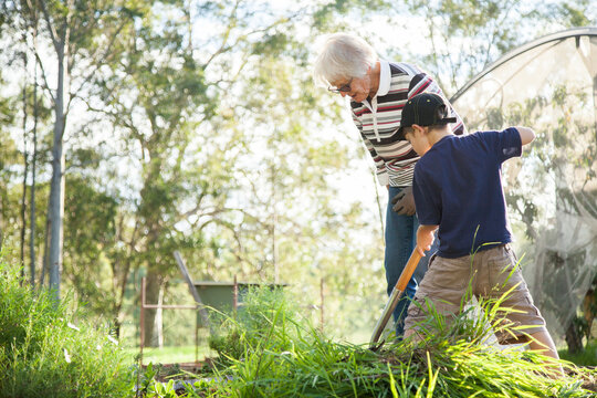 Grandson and granny gardening together in the backyard