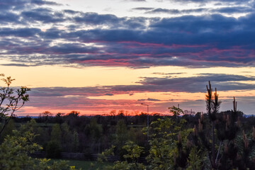 Beautiful Sunset with Trees