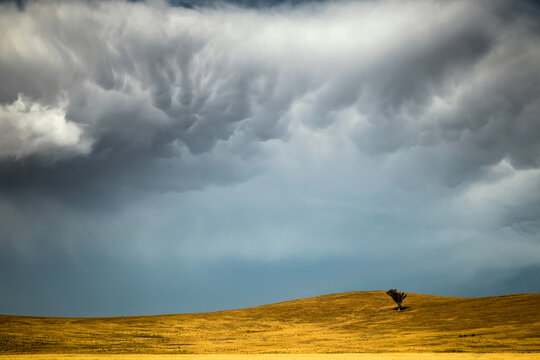 Dramatic mammatus clouds build over drying farmland