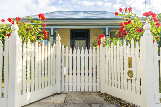 A white picket fence and gateway with red roses in front of a house