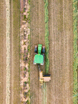 Aerial view of a tractor collecting rows of feed in a paddock