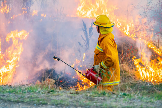A fireman using a torch watching over a fuel reduction burn off
