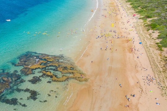 Aerial view of hundreds of people on a sandy beach